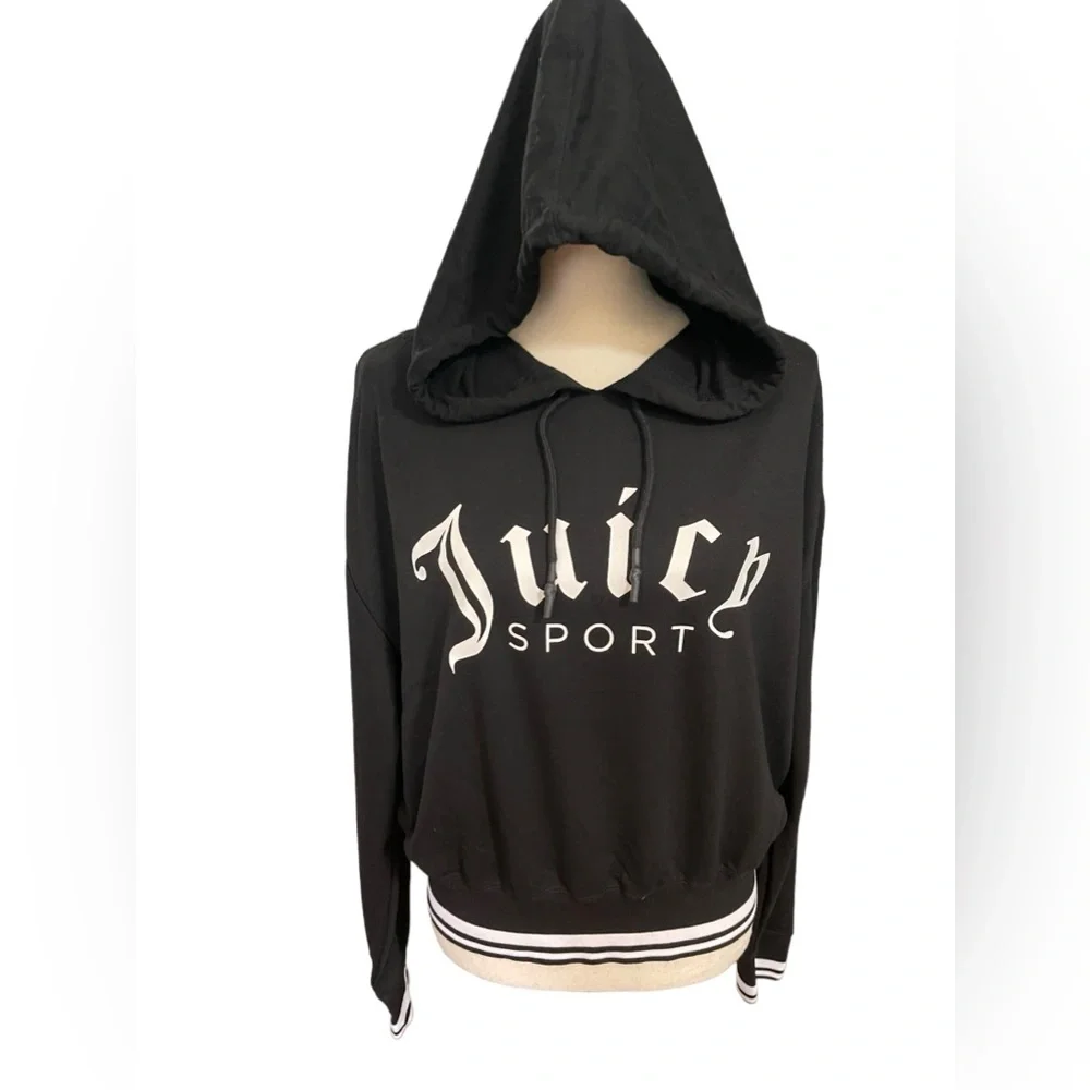 EUC Juicy Couture Logo Hoodie Size L - Picture 10 of 10